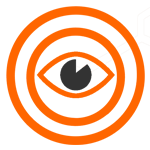 vision